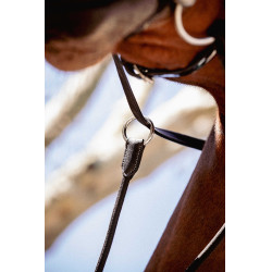 Flèche de martingale Pénélope Bip Light US élastique Noir