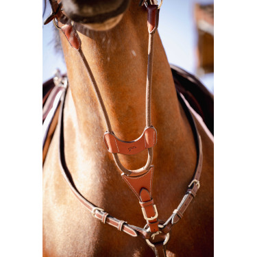 Flèche de martingale Pénélope Bip Light US élastique Noisette Marron