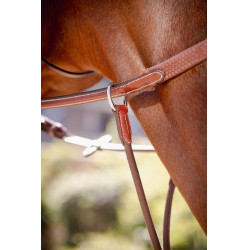 Flèche de martingale Pénélope Bip Light US élastique Noisette Marron