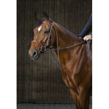 Chambon Eric Thomas Pro Havane Marron