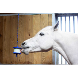 Support pierre à sel Likit 650 g Bleu