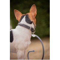 Collier pour chien Pénélope Olie Collier pour chien Pénélope Olie