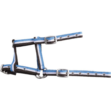 Licol foal réglable Choco / blanc / ciel Marron