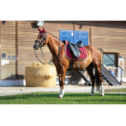 Tapis de selle Equithème Polyfun Bordeaux / taupe