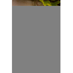 Cure-pieds Pénélope Balle Bleu roi Cure-pieds Pénélope Balle Bleu roi