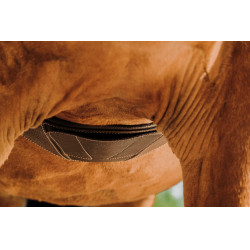 Sangle anatomique Magnet Norton Havane Marron