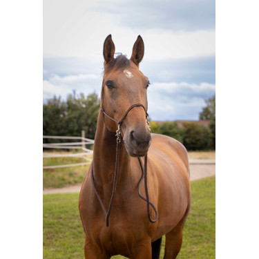 Licol Ethologique avec Renes