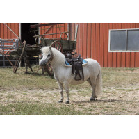 Tapis navajo matelassé Tapis navajo matelassé