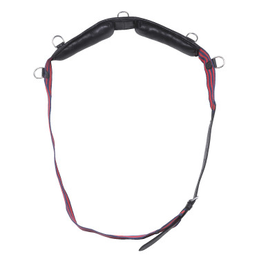 Surfaix sangle Norton Club