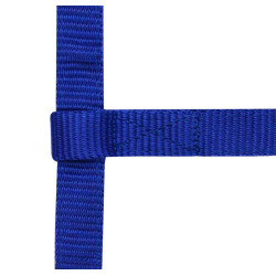 Licol réglable mini Bleu roi