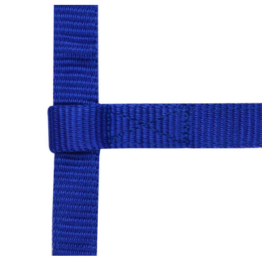 Licol réglable mini Bleu roi