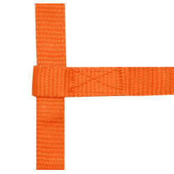 Licol réglable mini Orange