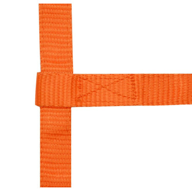 Licol réglable mini Orange