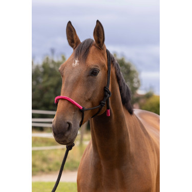 LICOL ETHOLOGIQUE + LONGE FUN COLOUR LICOL ETHOLOGIQUE + LONGE FUN COLOUR