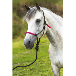 LICOL ETHOLOGIQUE + LONGE FUN COLOUR Vert néon