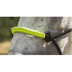 LICOL ETHOLOGIQUE + LONGE FUN COLOUR Vert néon