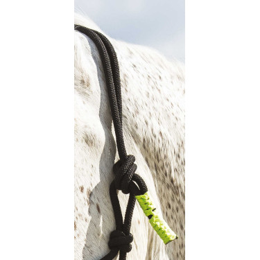 LICOL ETHOLOGIQUE + LONGE FUN COLOUR Vert néon