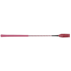 Cravache Whip & Go Concours Bordeaux / gris