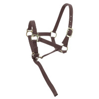 Licol nylon foal Violet Licol nylon foal Violet