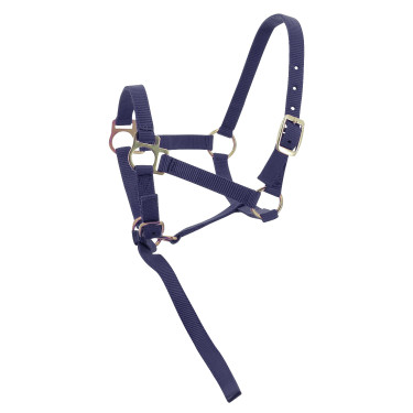 Licol nylon foal Bleu marine Licol nylon foal Bleu marine