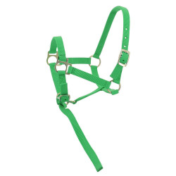 Licol nylon foal Vert clair Licol nylon foal Vert clair