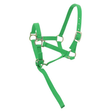 Licol nylon foal Vert clair Licol nylon foal Vert clair