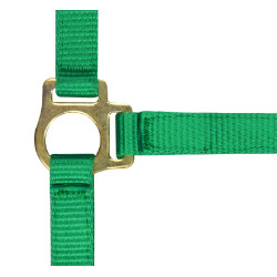 Licol nylon foal Vert clair Licol nylon foal Vert clair