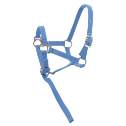 Licol nylon foal Ciel Bleu