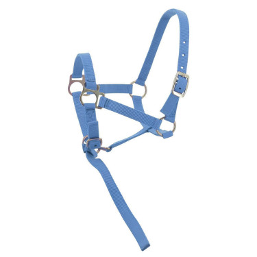 Licol nylon foal Ciel Bleu