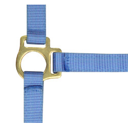 Licol nylon foal Ciel Bleu