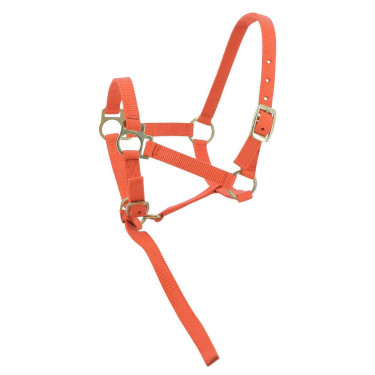 Licol nylon foal Orange Licol nylon foal Orange