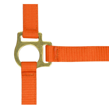 Licol nylon foal Orange Licol nylon foal Orange