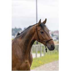 Licol éthologique corde Fin Noir