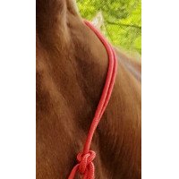 Licol éthologique corde Fin Beige Licol éthologique corde Fin Beige