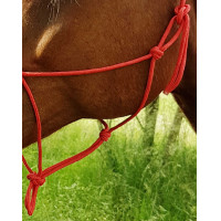 Licol éthologique corde Fin Beige Licol éthologique corde Fin Beige