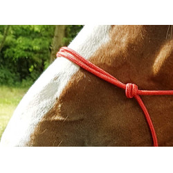Licol éthologique corde Fin