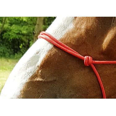 Licol éthologique corde Fin