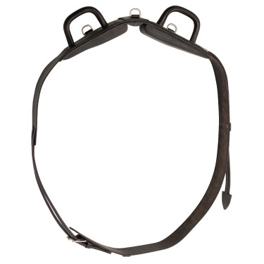 Surfaix de voltige Norton Club à poignées fermées