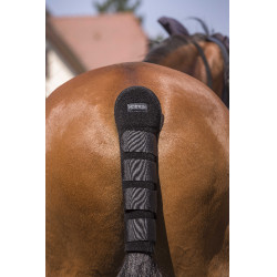 Protège-queue Norton High Protection Noir