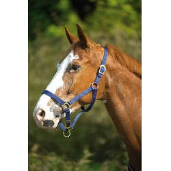 Licol nylon double épaisseur avec fermetures à boucles Norton Bleu marine