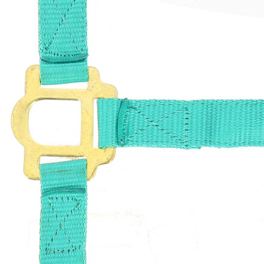 Licol nylon double épaisseur avec fermetures à boucles Norton Turquoise Bleu Licol nylon double épaisseur avec fermetures à boucles Norton Turquoise Bleu
