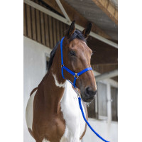 Ensemble licol et longe Club Fuchsia Rose