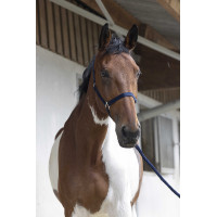 Ensemble licol et longe Club Bleu marine