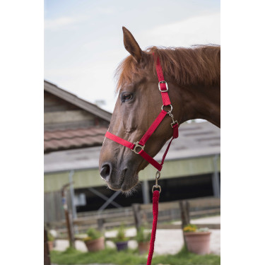 Ensemble licol et longe Club Rouge