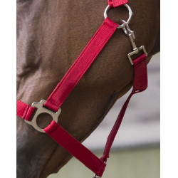 Ensemble licol et longe Club Rouge