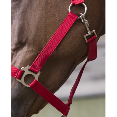 Ensemble licol et longe Club Rouge