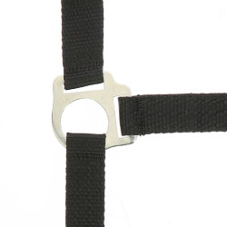 Ensemble licol et longe Club Noir Ensemble licol et longe Club Noir