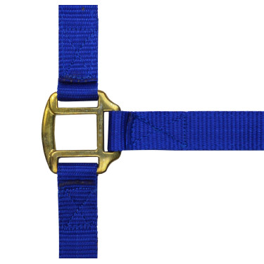 Licol nylon doublé cuir Norton Bleu roi