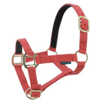 Licol nylon doublé cuir Norton Rouge