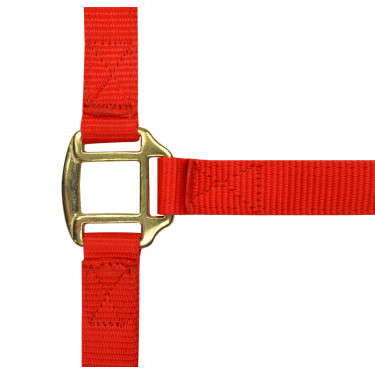 Licol nylon doublé cuir Norton Rouge